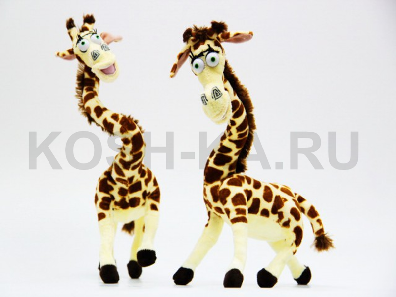 ЖИРАФ ПРИКОЛЬНЫЙ