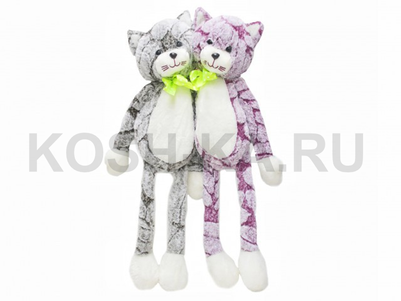КОТ С ЯРКИМ БАНТОМ