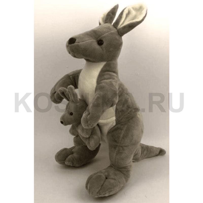 Кенгуру с малышом